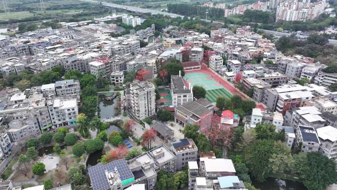 中国广东省广州市海珠区黄埔村木棉花