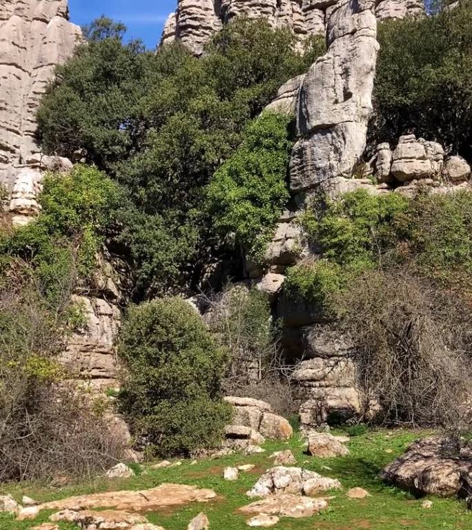 徒步游览Torcal de Antequerra国家公园，石灰岩岩层和以不同寻常的喀斯特地貌而闻名