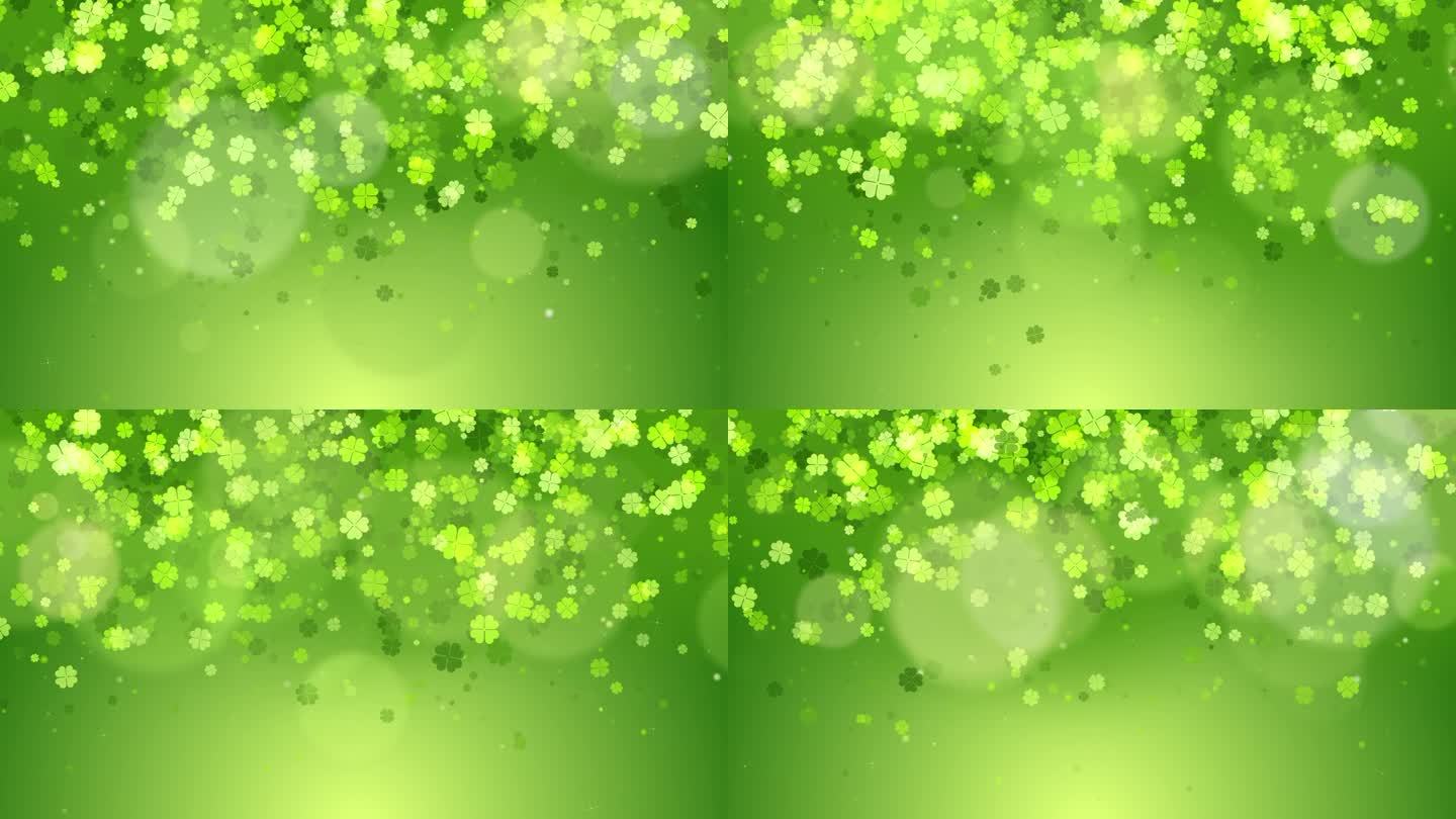 三叶草圣帕特里克节绿叶环背景。背景是生长的三叶草叶子。复制文本。