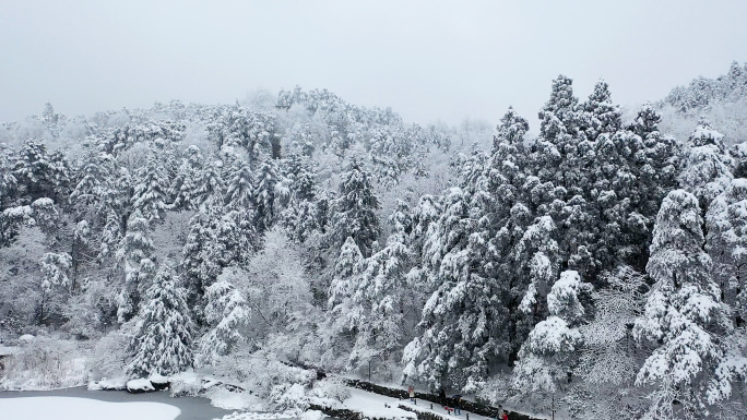 江西庐山飘雪如琴湖旁行人匆匆航拍