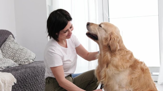 女人给她可爱的金毛猎犬刷毛