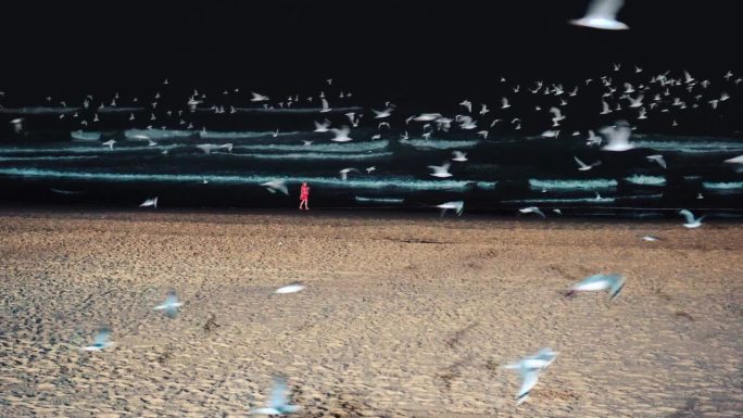 在澳大利亚昆士兰州黄金海岸，一群鸟在冲浪者天堂海滩的城市天际线上飞行