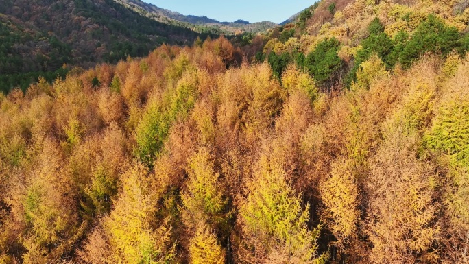 秦岭秋色