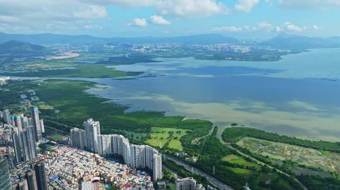 深圳上下沙深圳湾红树林航拍