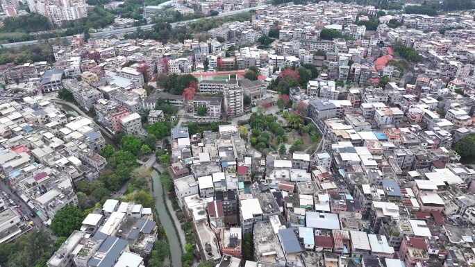 中国广东省广州市海珠区黄埔村木棉花