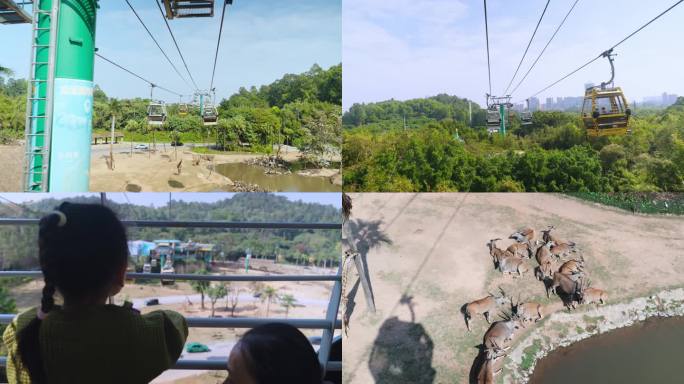 广州长隆动物园缆车旅游