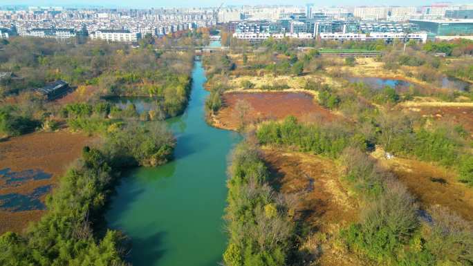 杭州西湖区西溪湿地自然风景视频素材