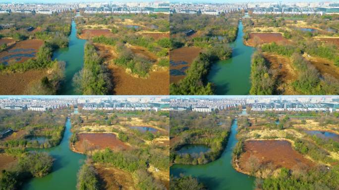 杭州西湖区西溪湿地自然风景视频素材