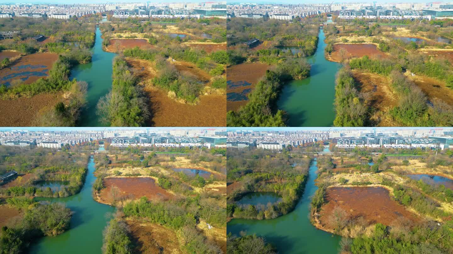 杭州西湖区西溪湿地自然风景视频素材