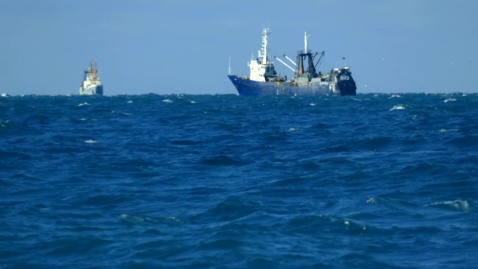 拖网渔船在作业海中渔船渔船捕鱼