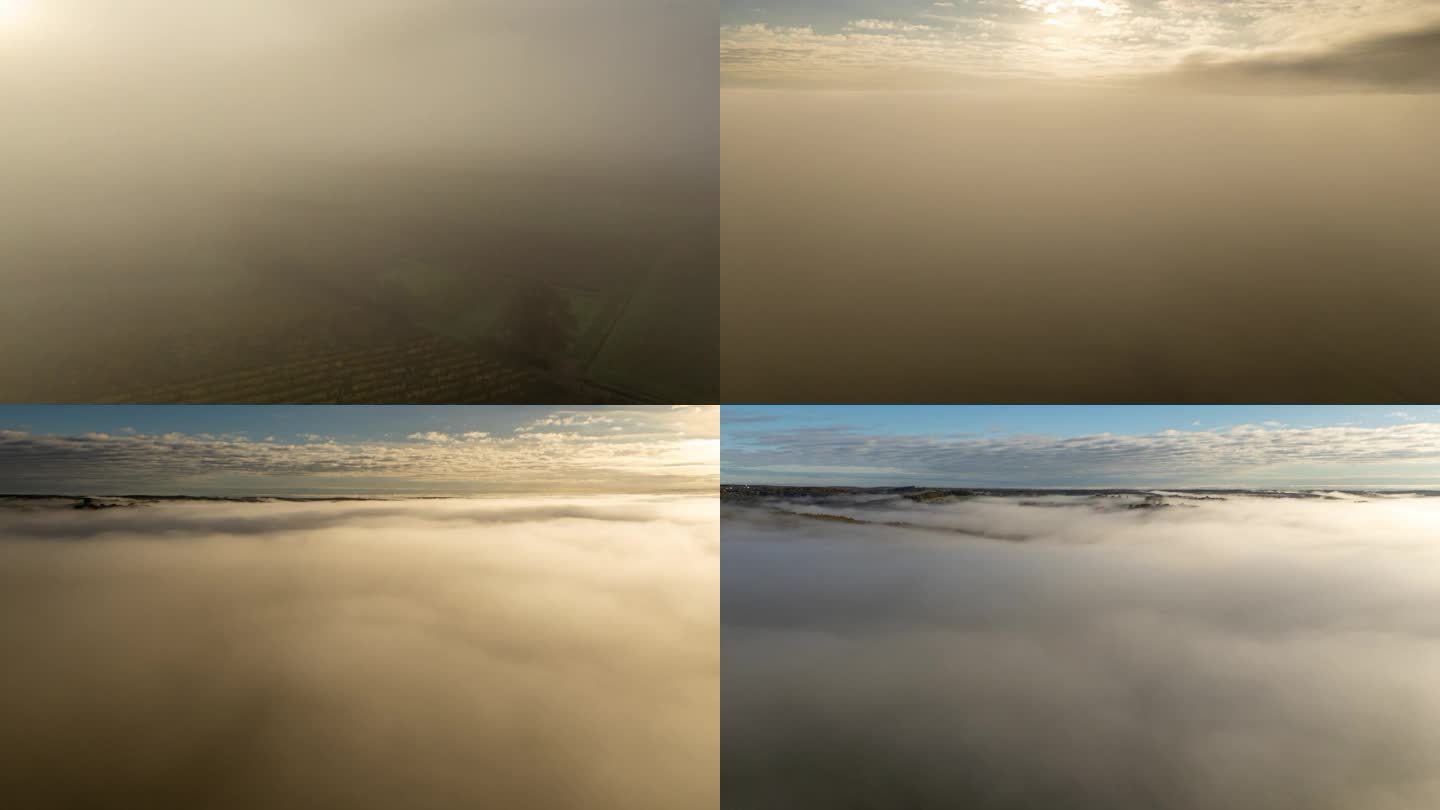 超延时无人机视角的雾在乡村葡萄园。