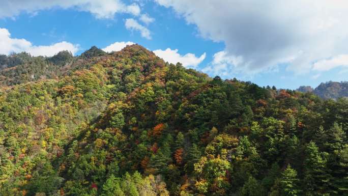 秦岭秋景风光