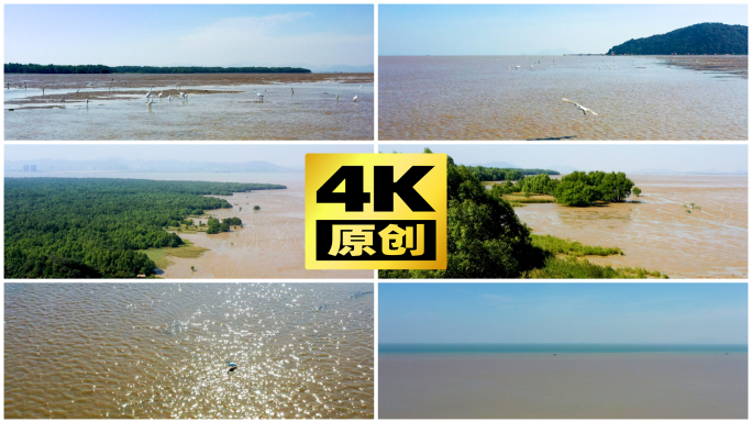 广东珠海淇澳—担杆岛省级自然保护区 滩涂