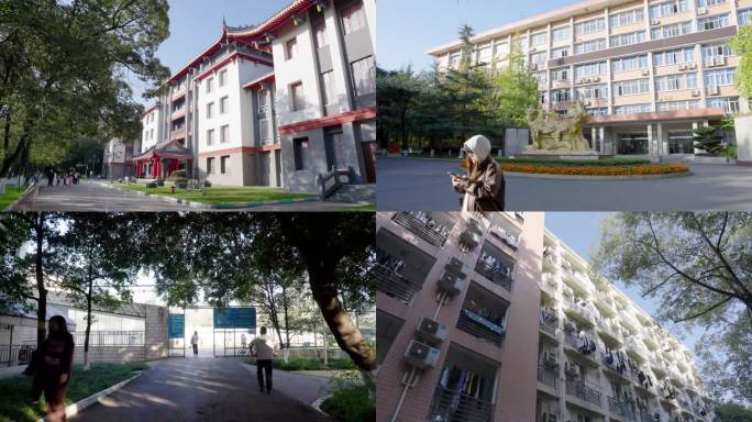 大学校园环境延时