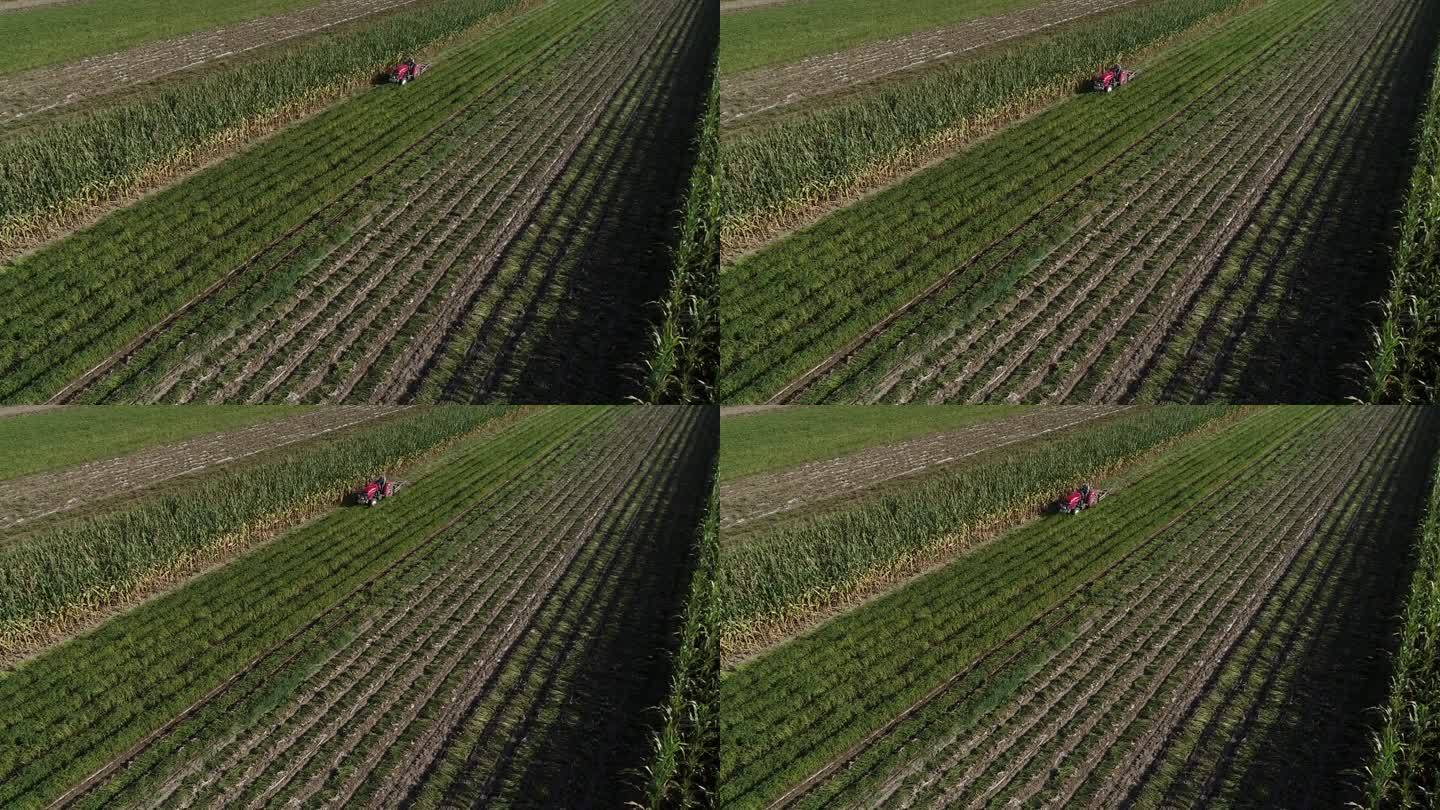 中国北方，农民在田地里使用农业机械收割花生