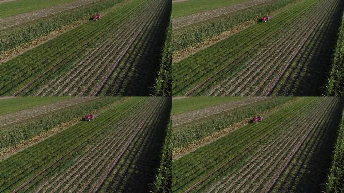 中国北方，农民在田地里使用农业机械收割花生
