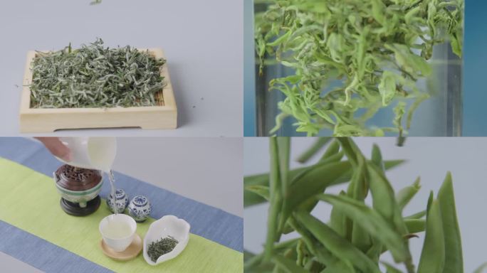 【原创4k】茶叶绿茶泡茶样品龙井日照绿茶