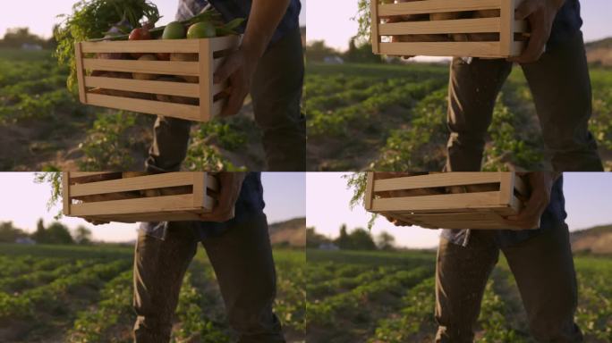 农民从地里拎起一篮子新鲜采摘的蔬菜