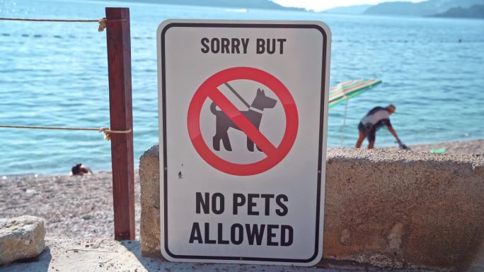 在海边签个牌子，禁止在沙滩上遛宠物
