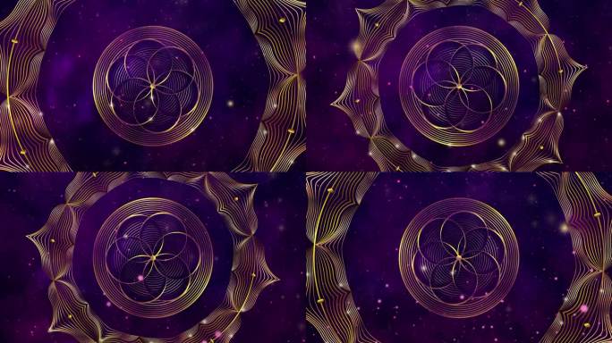 视频动画金色闪亮的生命之花在运动中。金莲神圣几何在移动的星系，星空的背景。电视节目，介绍，电影，舞台
