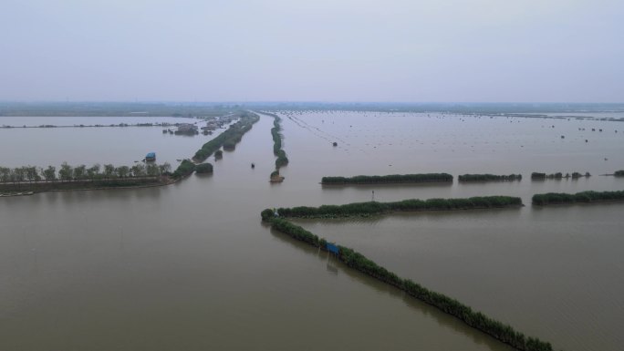 安徽焦岗湖国家湿地公园航拍