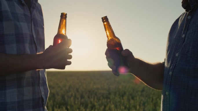 两个农民在一片麦田的背景下碰着啤酒瓶，画面中只有双手可见