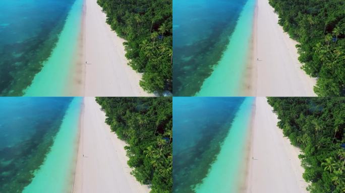 马尔代夫美丽的热带海滩和椰子树海
