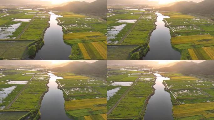 稻田河流