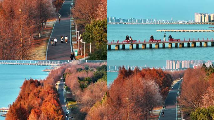 健康幸福生活湖边散步城市生态湖居唯美秋天