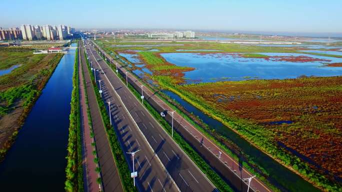 湿地、水鸟、道路航拍