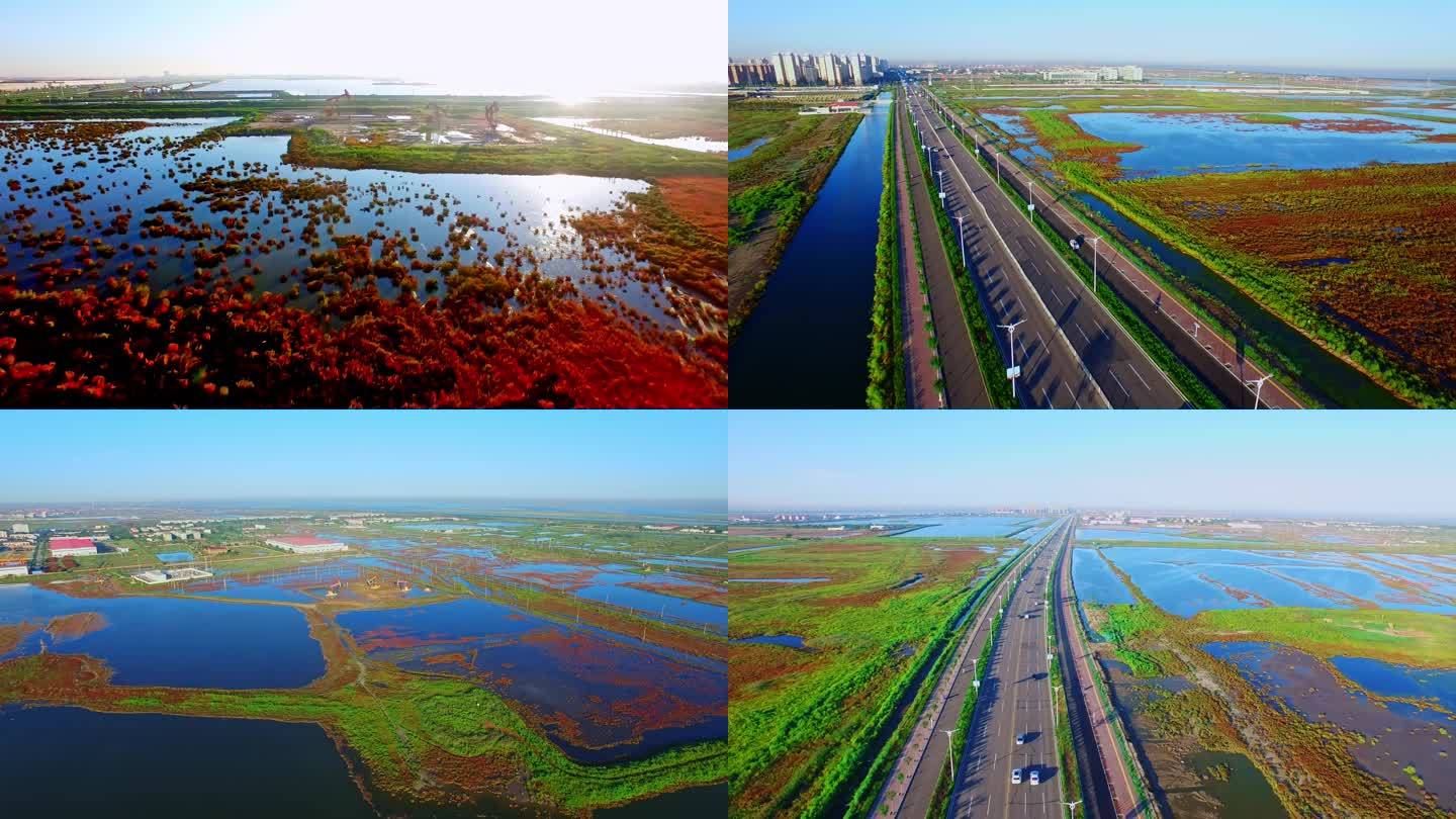 湿地、水鸟、道路航拍