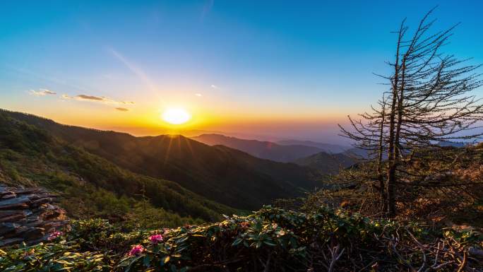 秦岭太白山小文公庙杜鹃花日落延时