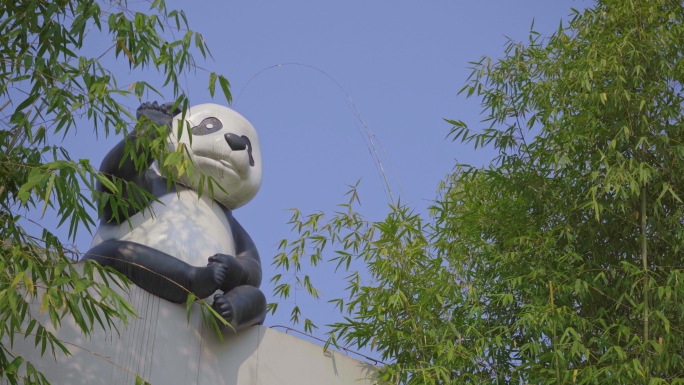 【原创4K】大熊猫吃竹子特写镜头