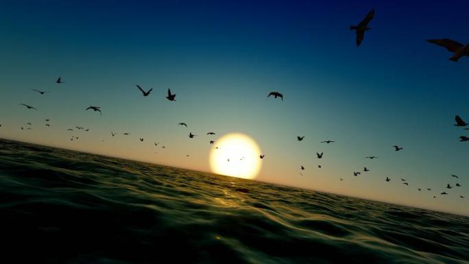 大海桥面上夕阳落下和海鸥飞翔慢动作