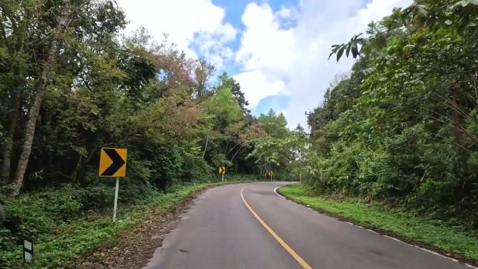 风景秀丽的森林公路之旅