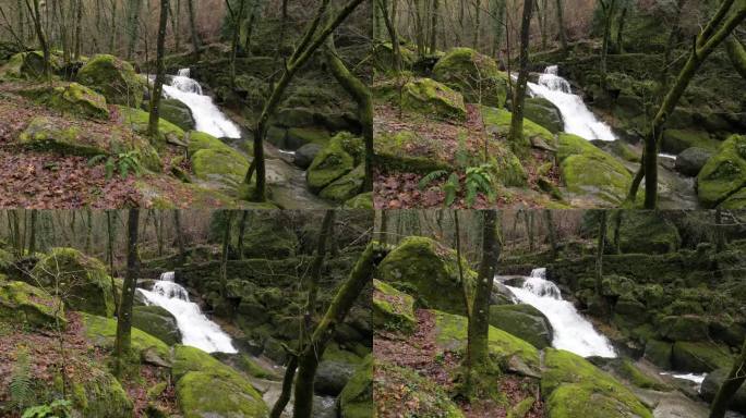 Felgueiras瀑布上布满青苔的岩石穿过树林