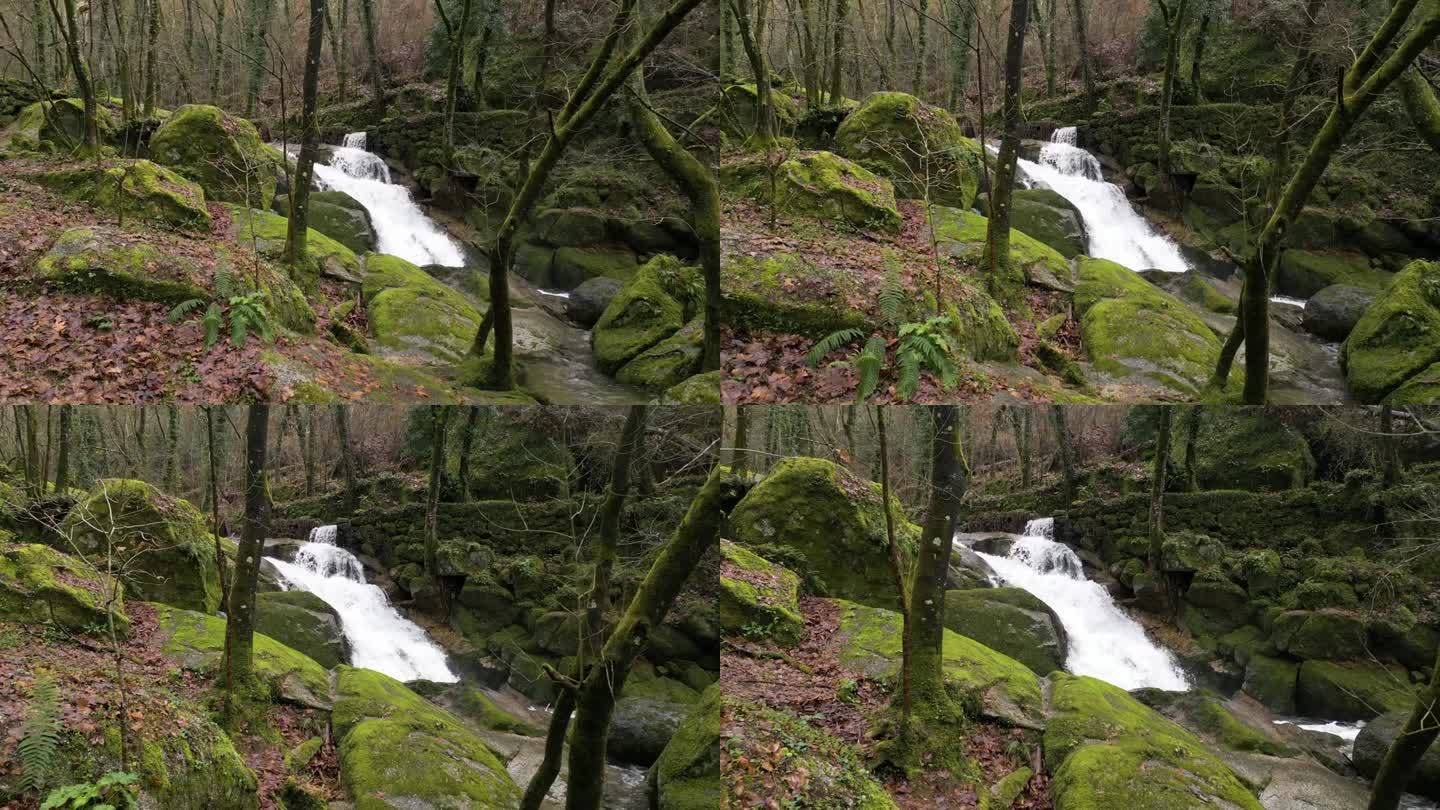 Felgueiras瀑布上布满青苔的岩石穿过树林