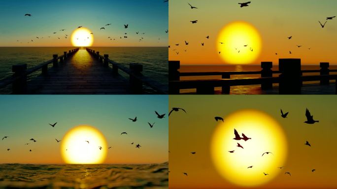 夕阳下大海桥头自由飞舞的海鸥慢动作
