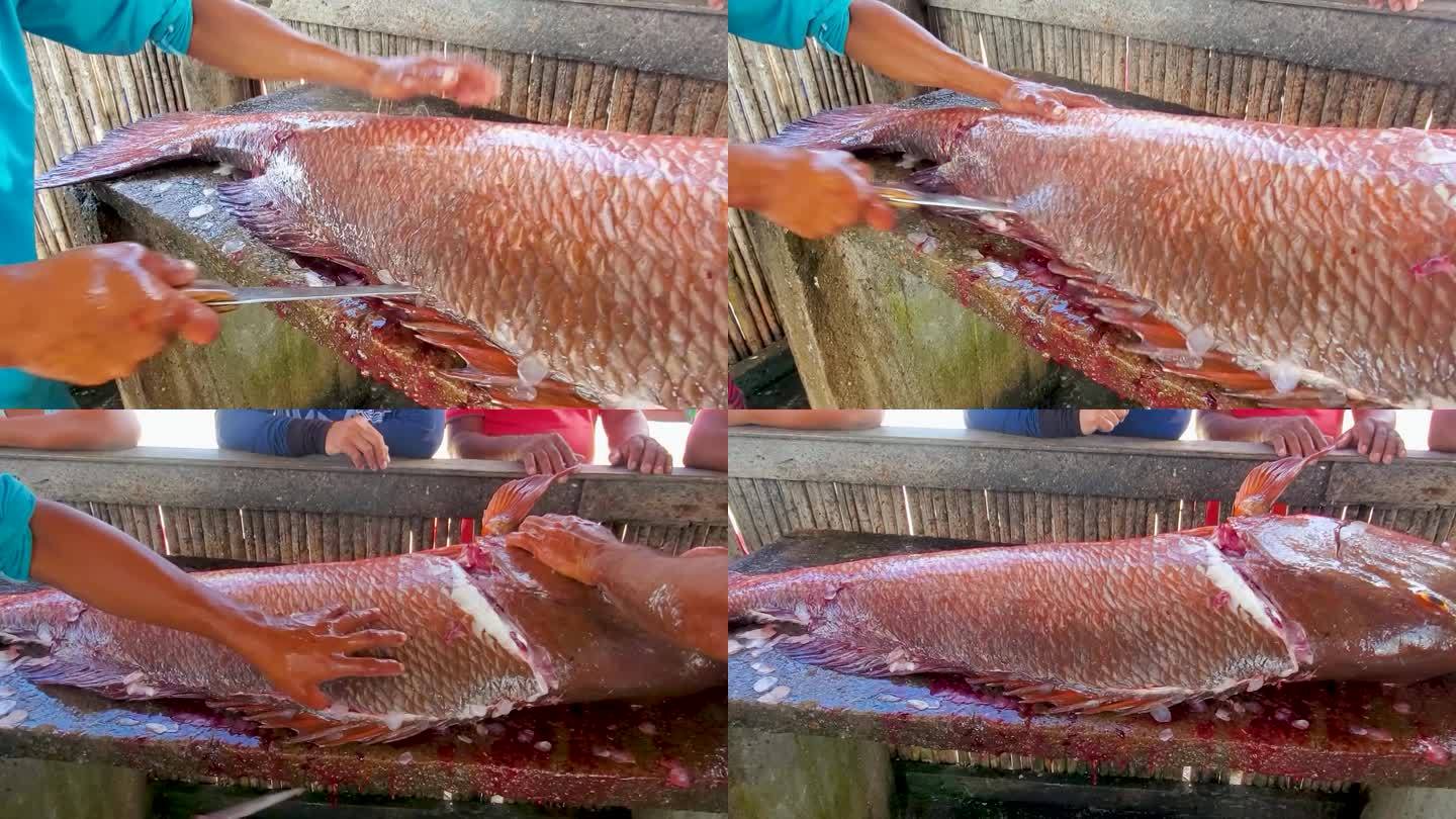 拉丁人切大红石斑鱼沿着鱼片它在鱼市场，加勒比海