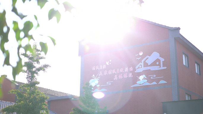 【原创】农村墙上写着村民自治标语