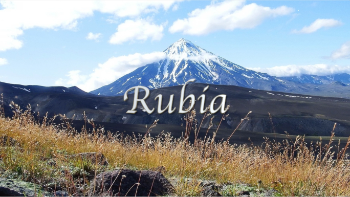 Rubia伴奏视频背景