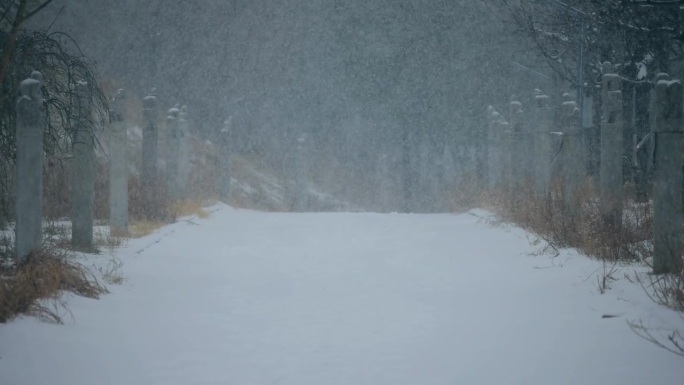 大雪中的小路林荫遮蔽象征地域登峰造极