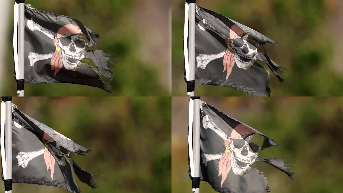 海盗旗在风中飘扬