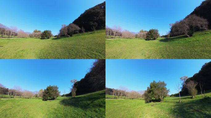 Nature in Villa Doria Pamphilj - Rome