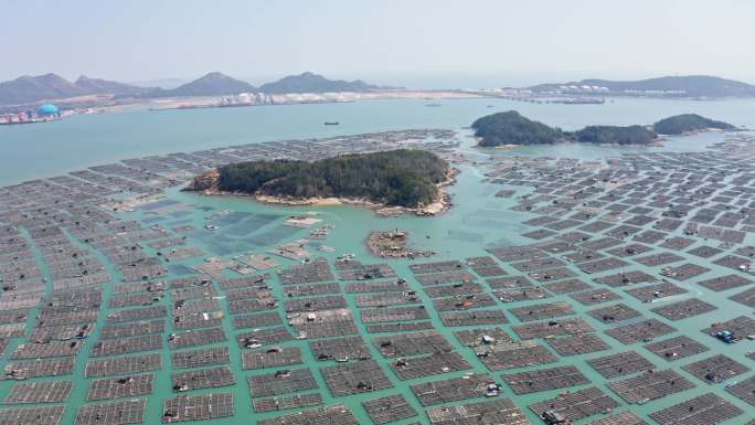 漳州水产养殖