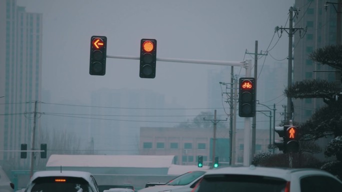 冬天下雪的红绿灯雾霾萧瑟停止