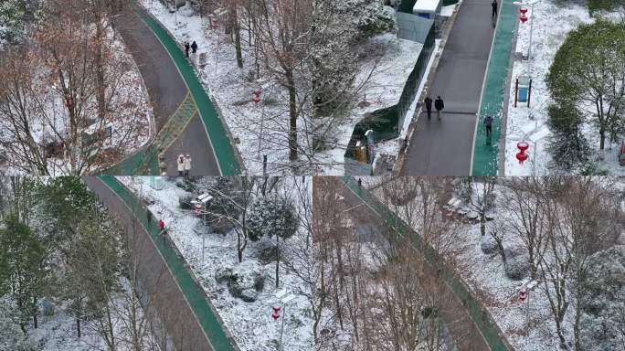 公园里雪景行人玩雪