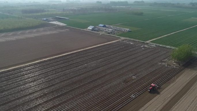 中国北方，农民在农田里用播种机种植覆膜花生