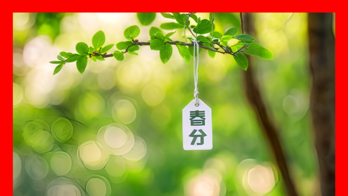 【合集】春分春天美景春季唯美鸟语花香风景