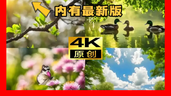 【合集】春分春天美景春季唯美鸟语花香风景